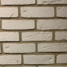 Rustic-white-blend-brick-slips